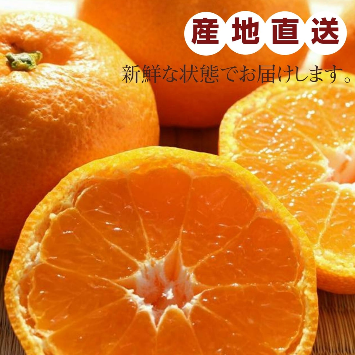 みかん 【昇果園】 S~M 5kg 約50～65個 家庭用 静岡県 浜松市 蜜柑