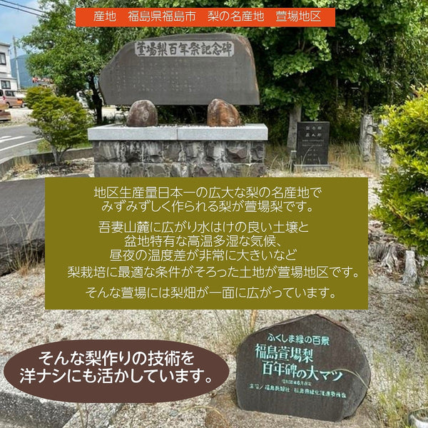 洋梨 【あべき倶楽部】 洋ナシ 2種類入り 5kg 8～24個 ご家庭用 訳あり 福島県 洋なし 《10/下旬～11/上旬より出荷》