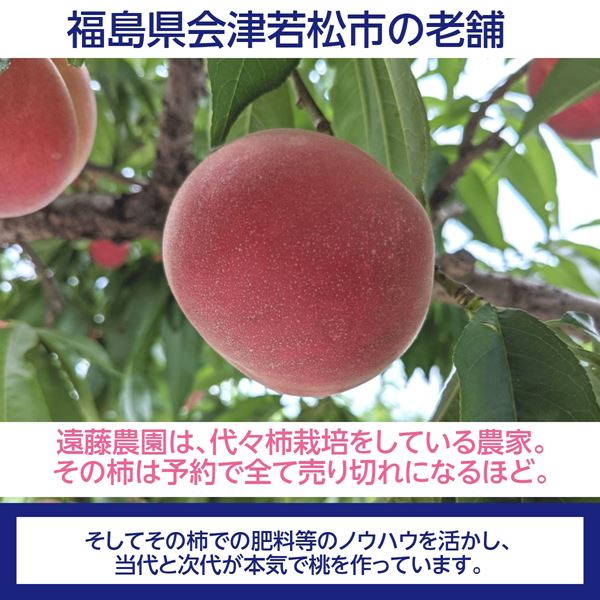 桃 【遠藤農園】 もも  5kg 中玉 20～22個 7月の桃 贈答 福島県 会津 《7月中旬～7月下旬出荷》