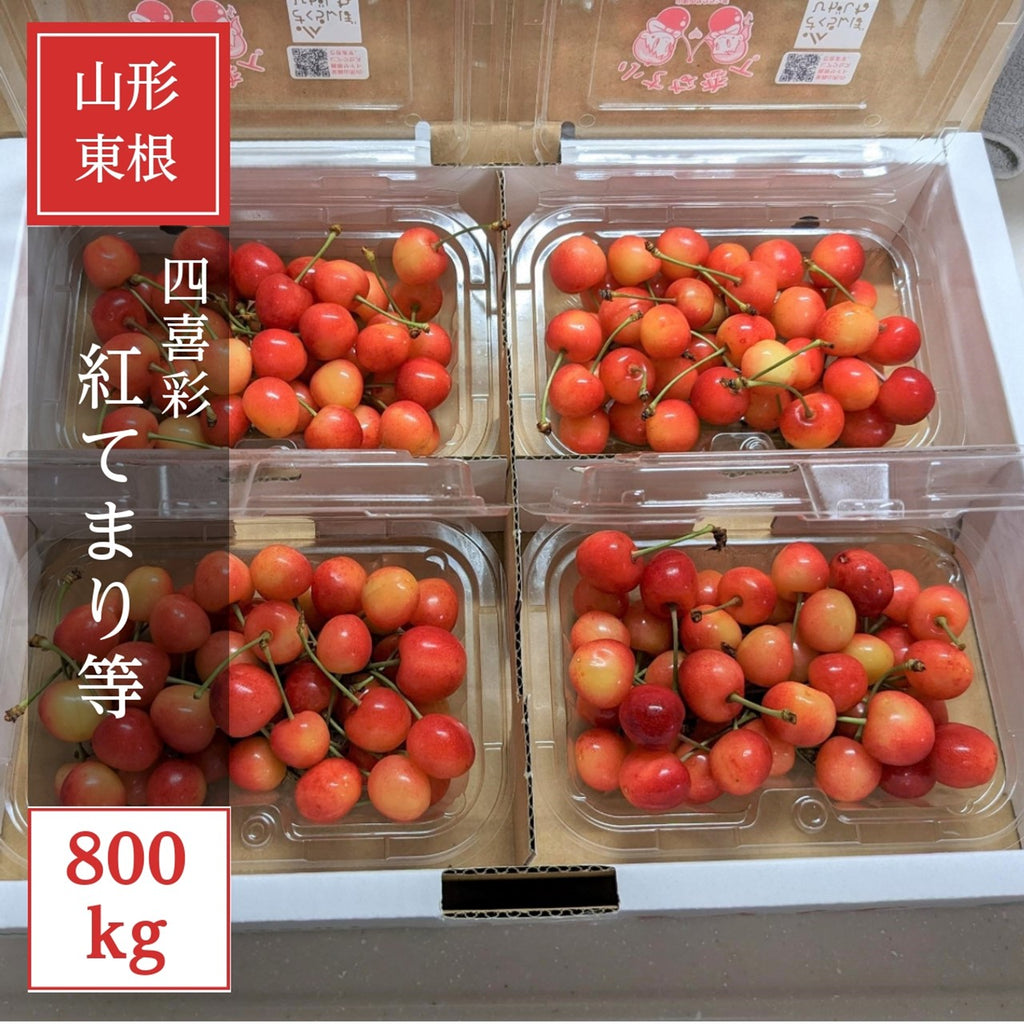 紅秀峰*紅王*南陽*紅てまり ☆4種類食べくらべセット限定1箱 紅秀峰*紅王*南陽*紅てまり ☆4種類食べくらべセット限定1箱