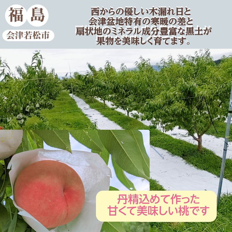 桃 【遠藤農園】 もも 3.5kg 中玉13～14個 贈答 品種色々 福島県 《7月下旬～8月上旬から出荷》