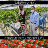 いちご 夏いちご  業務用 雷峰 すずあかね バラ小  1120g (280g×4P)×1箱 訳あり B品  小さめ 福島県 飯館 ケーキ お菓子作り イチゴ 苺 夏