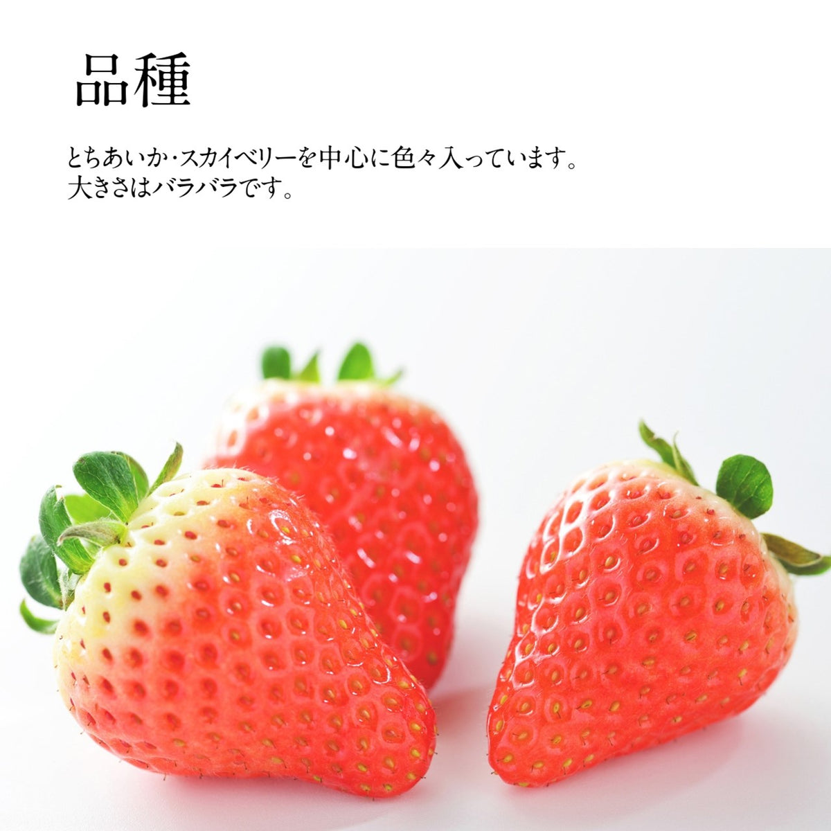 s_56c7141a-b3f9-466d-9ea5-