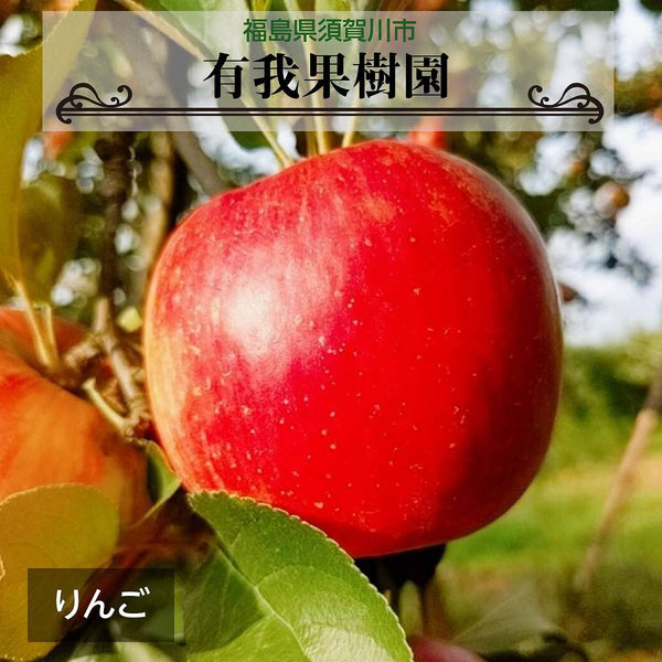 りんご 【有我果樹園】 リンゴ 大玉 12～14個 5kg 福島県 須賀川市《10/上旬～10/中旬より出荷》