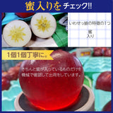 りんご 【ふんどのりんごや】 オリジナル品種 いわせっ娘 5kg 16～18個 福島県須賀川 《12/上旬～12/下旬の出荷》