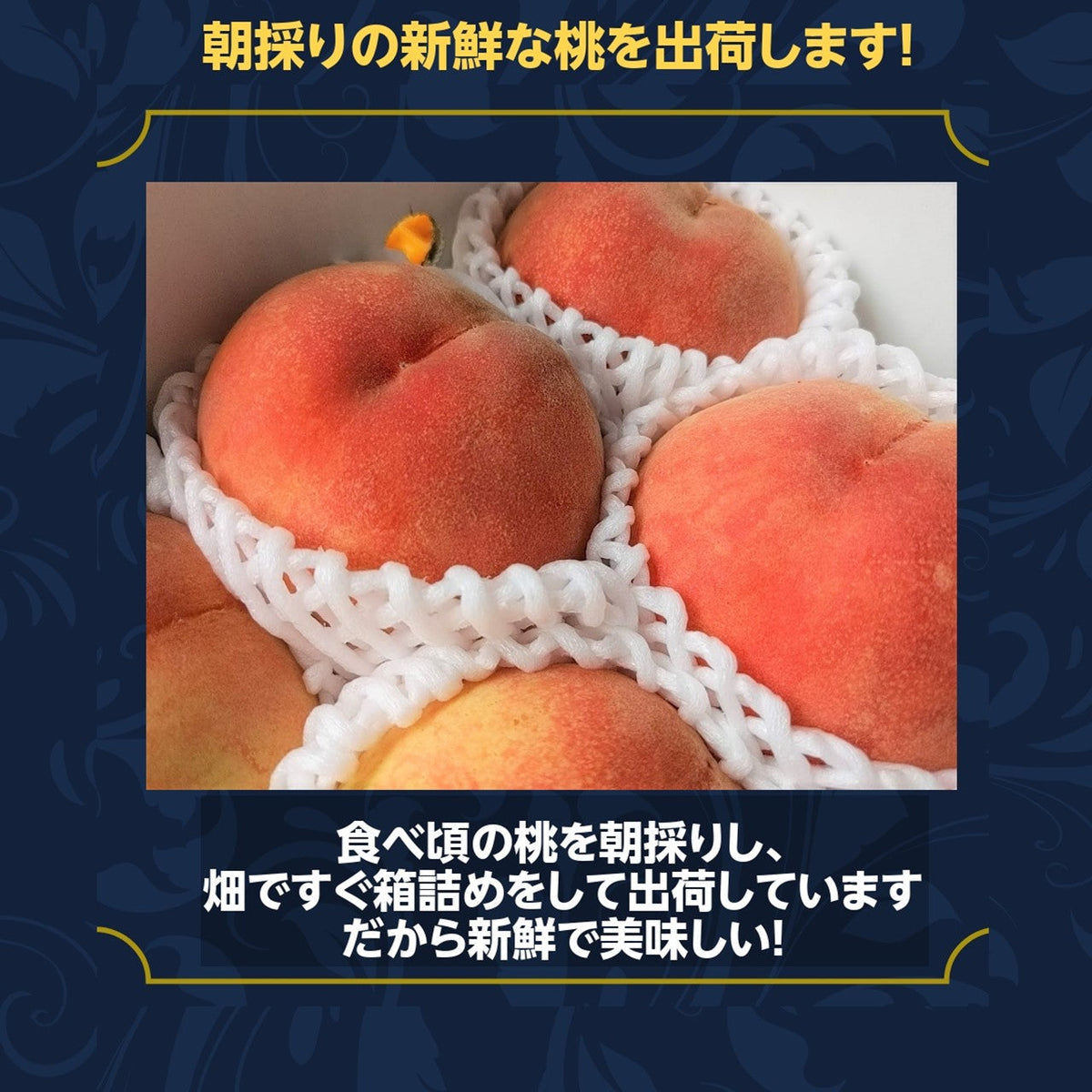 硬めの桃 5キロ 0d37bf00ba9dc5e9ace70184c86b78