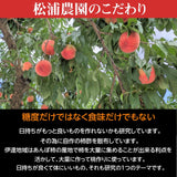 桃 【伊達松浦農園】 硬い もも 3kg 8～12個 福島県 伊達市 贈答用  《7/下旬～8/上旬出荷》
