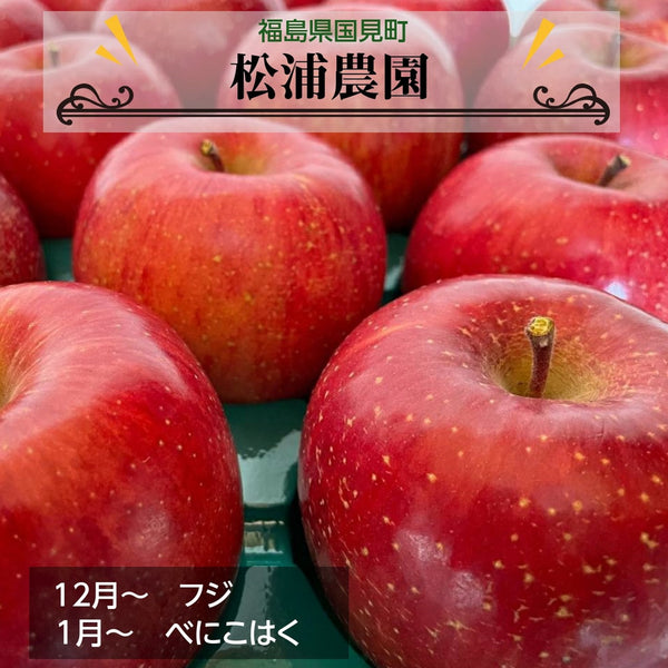 りんご 【松浦農園】 リンゴ ふじ べにこはく 10kg 30～36個 贈答用 福島県 国見町《12/上旬～12/中旬より出荷》