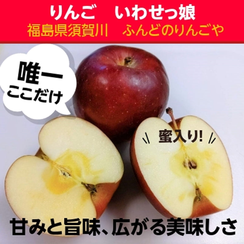 りんご 【ふんどのりんごや】 オリジナル品種 いわせっ娘 5kg 16～18個 福島県須賀川 《12/上旬～12/下旬の出荷》