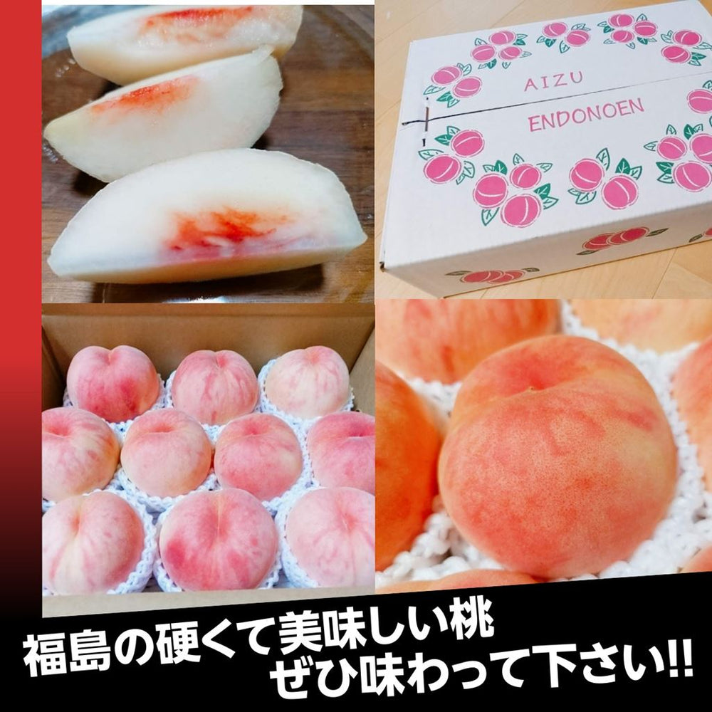 桃蓮玉 からし蓮根 の美味しさをそのままチップスに❗ 熊本県産レンコン100