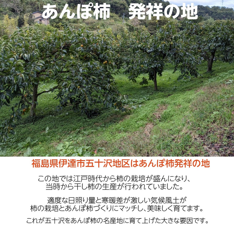干し柿 【種まきうさぎ】 特大ビッグあんぽ柿 6個 2個×3P 690g以上 贈答用 化粧箱 福島県 伊達市