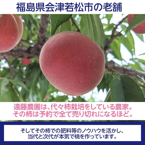 桃 【遠藤農園】 もも 3.5kg 9～14個 7月の桃 福島県 会津 《7月中旬～7月下旬出荷》