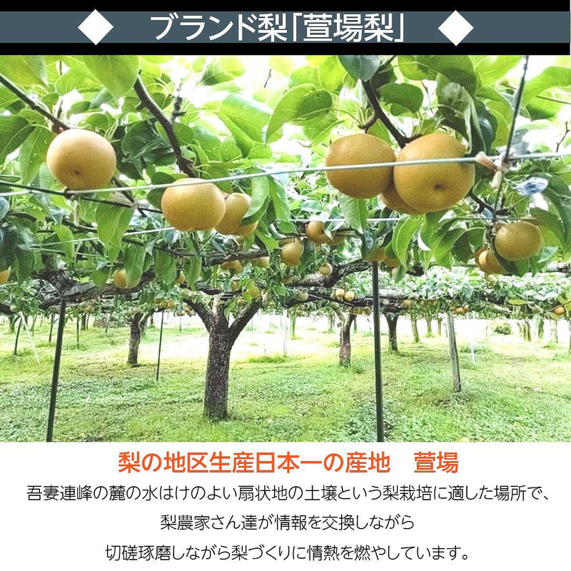 梨 【羽田梨園】 萱場の梨 5kg 訳あり 家庭用 福島県 福島市《9月上旬〜9月中旬より出荷》