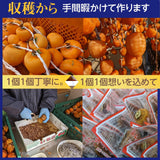 干し柿 【種まきうさぎ】 特大ビッグあんぽ柿 6個 2個×3P 690g以上 贈答用 化粧箱 福島県 伊達市