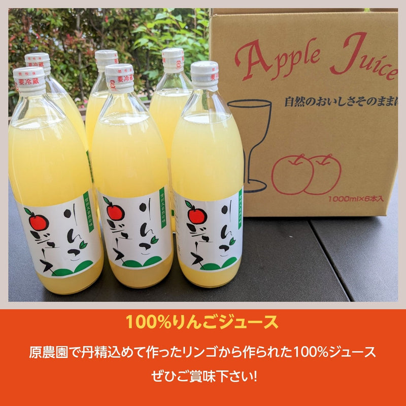 100％ジュース りんごジュース 【原農園】 100％ ストレート リンゴジュース １L 6本 長野 松川町 国産