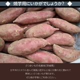 さつまいも 【サンキューマルシェ】 生芋 紅はるか 5kg 無選別 土付き 茨城県ひたちなか市 サツマイモ 薩摩芋 業務用