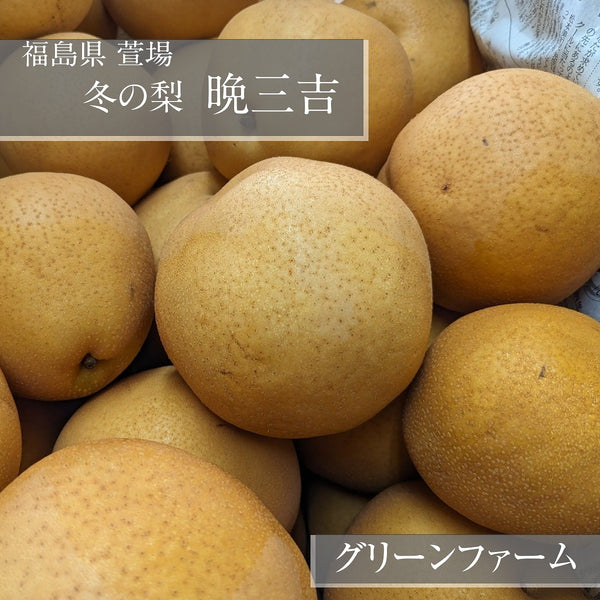 梨 【グリーンファーム】 萱場梨 冬の梨 晩三吉 6kg サイズ色々 8～12