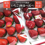 いちご 【アグリハウス秋山】 食べ比べ ゆうやけベリー とちおとめ 大玉 12～15個ずつ 750g 翌日配達の地域(東北～近畿）限定 贈答用 福島県 須賀川 苺《1/上旬～1/中旬より出荷》