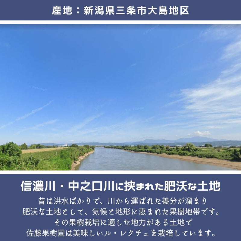 洋梨 【佐藤果樹園】 洋なし ル・レクチェ 4kg 9～14玉 訳あり ご家庭用 新潟県 ルレクチェ《11/下旬～12/上旬より出荷》