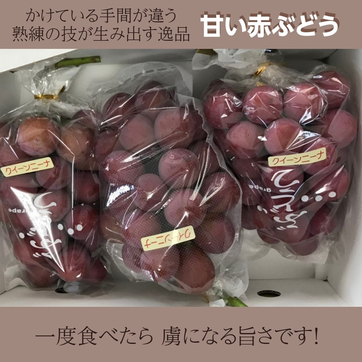 【クール】クインニーナ 糖度20度 2kg 4房 ぶどう 葡萄 ブドウ 送料無料 楽天市場】ぶどう 【ﾌﾙｰﾂﾌｧｰﾑいしくら】 葡萄 クイーンニーナ 3