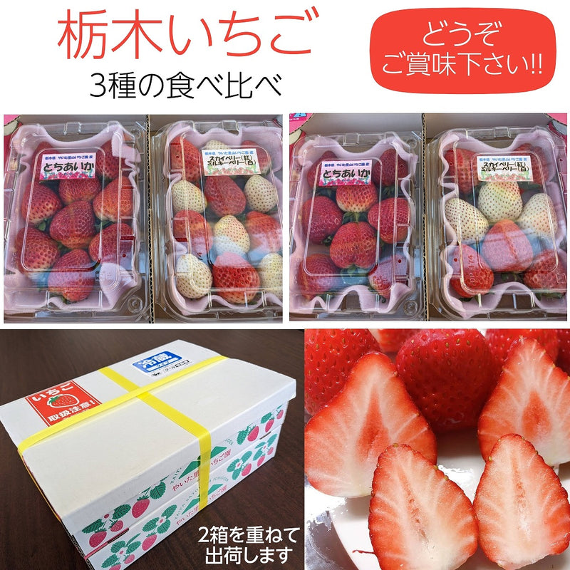 【やいた里山いちご園】いちご イチゴ 苺 食べ比べ とちあいか２パック ミルキーベリー/スカイベリー1パックずつ （280g×4パック）栃木県矢板市