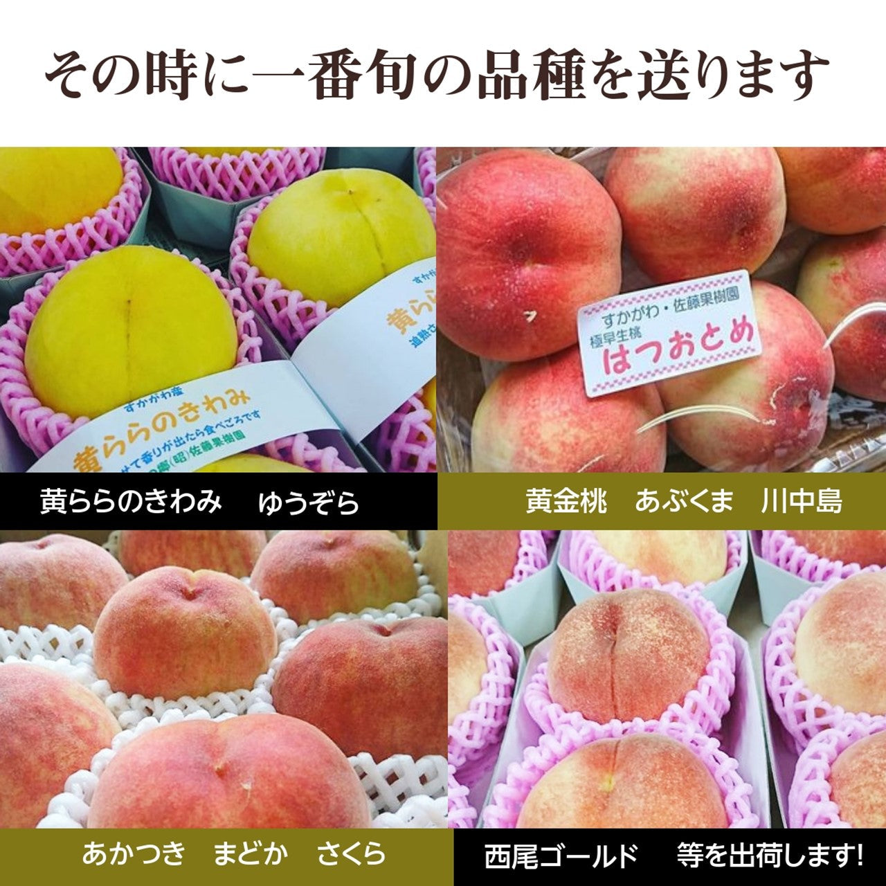 桃 【佐藤果樹園】 品種色々 3kg 9~12個 福島県須賀川市 福島の桃 福島 もも 贈答 プレゼント 《7/上旬~7/中旬より出荷 ...