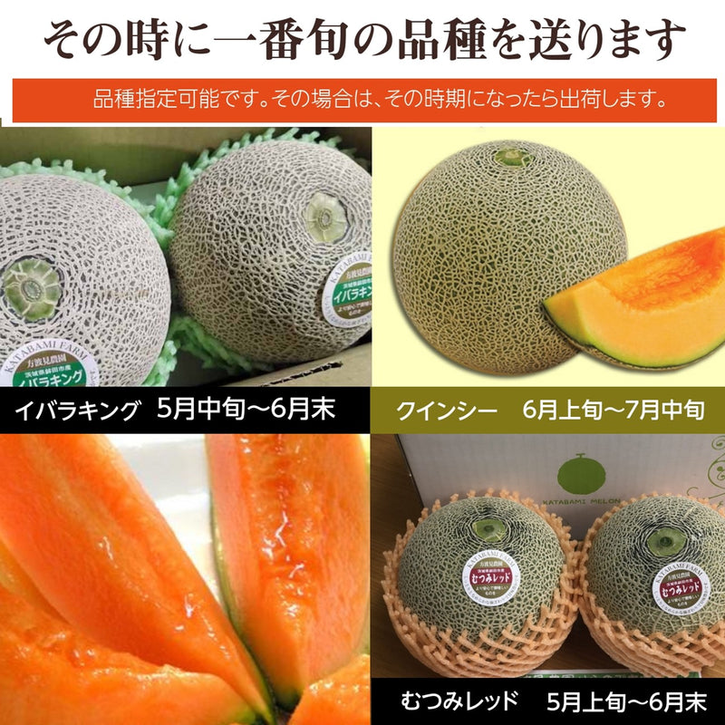 メロン 【方波見農園】 むつみレッド イバラキング クインシー どれか1種 5kg 3～5玉 糖度16度以上 贈答用 母の日 父の日 茨城県鉾田市 《4/下旬～5/上旬より出荷》