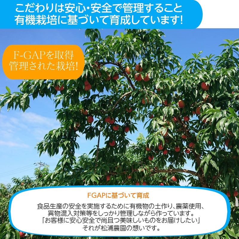 桃 【松浦農園】 もも 5kg 16～22個 福島県 国見町 福島の桃 《7/下旬～8/上旬から出荷》