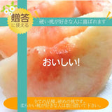 桃 【遠藤農園】 もも 3.5kg 中玉13～14個 贈答 品種色々 福島県 《7月下旬～8月上旬から出荷》