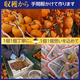 干し柿 【種まきうさぎ】 特大ビッグあんぽ柿 16個 2個×8P 1840g以上 福島県 伊達市