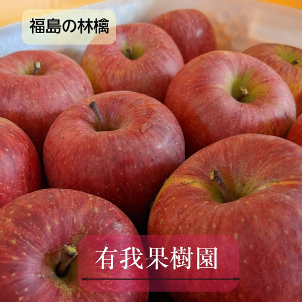りんご 【有我果樹園】 リンゴ 中玉 16～20個 5kg 福島県 須賀川市《10/上旬～10/中旬より出荷》
