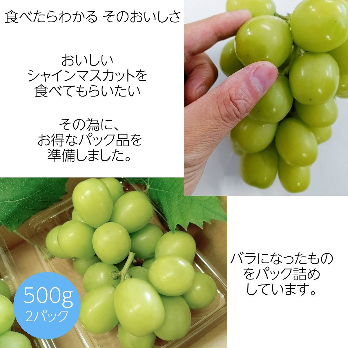 ぶどう10枚 楽天市場】ぶどう 化粧箱 L-2485 彩りぶどう小 身深 50個(10×5