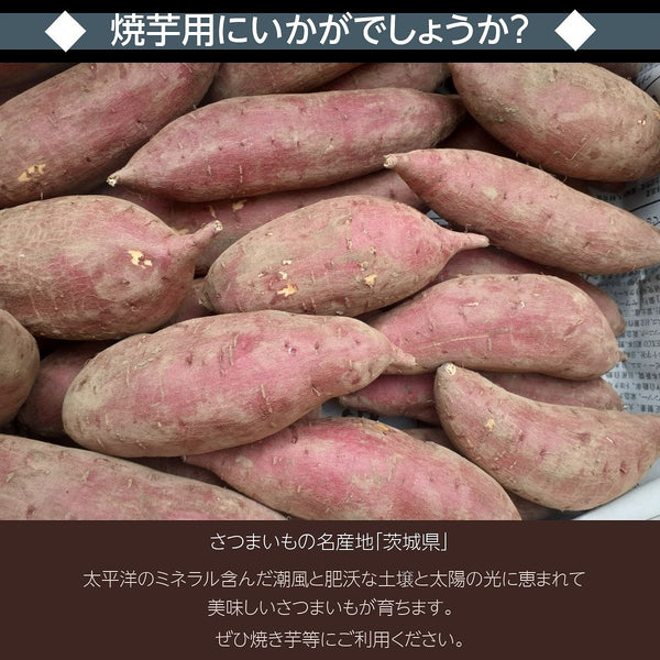 さつまいも 【サンキューマルシェ】 業務用 生芋 シルクスイート 紅あずま 紅はるか 10kg 焼き芋用 茨城県ひたちなか市 焼芋用
