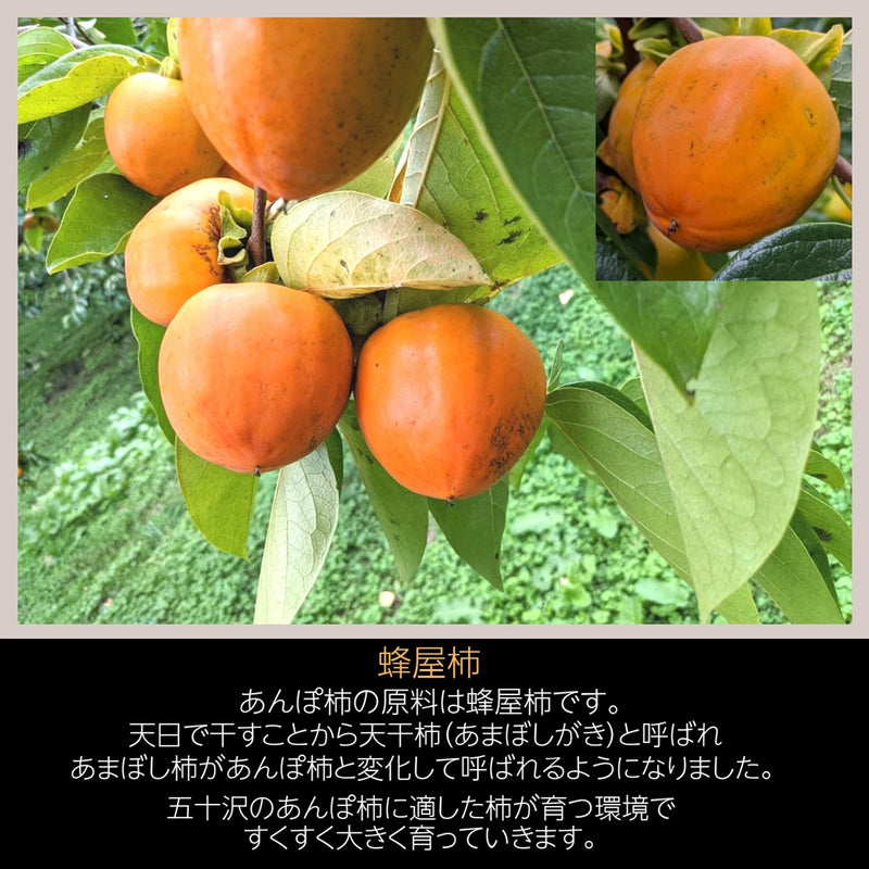 干し柿 【種まきうさぎ】 特大ビッグあんぽ柿 10個 2個×5P 1150g以上 贈答用 化粧箱 福島県 伊達市