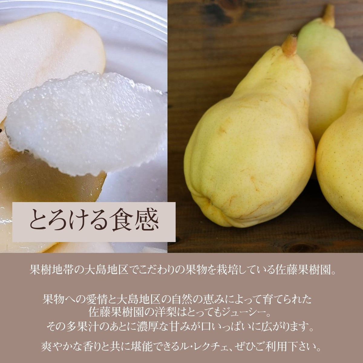 洋梨 【佐藤果樹園】 洋なし ル・レクチェ 4kg 大玉 8～10玉 贈答用