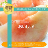 桃 【遠藤農園】 もも 3.5kg 大玉9～12個 贈答 品種色々 福島県 《7月下旬～8月上旬から出荷》