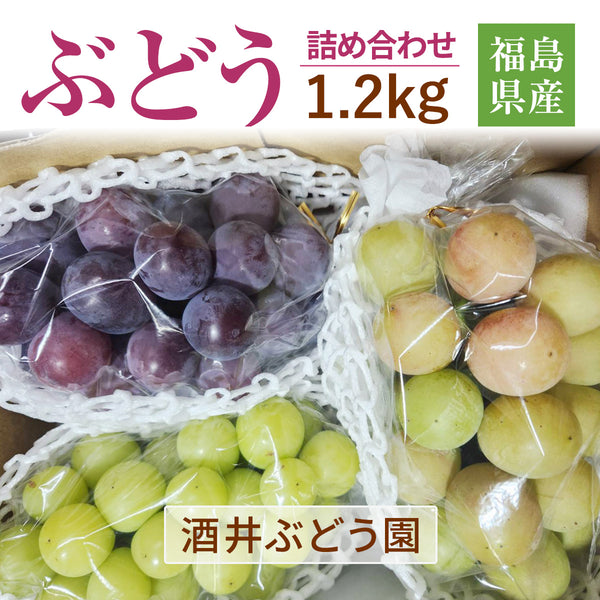 ぶどう 【酒井ぶどう園】 葡萄 詰め合わせ 約1.2kg 2～4房 福島県伊達市