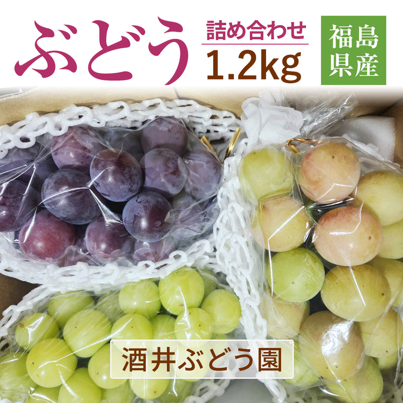 ぶどう 【酒井ぶどう園】 葡萄 詰め合わせ 約1.2kg 2～4房 福島県伊達市