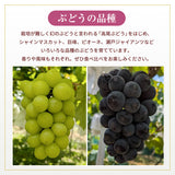 ぶどう 【酒井ぶどう園】 葡萄 詰め合わせ 約1.2kg 2～4房 福島県伊達市