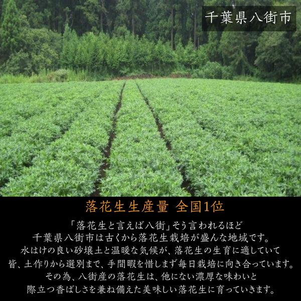 ピーナッツ 落花生 【実川文雄商店】 殻付き落花生 千葉半立300g×4 八街産 千葉県八街市