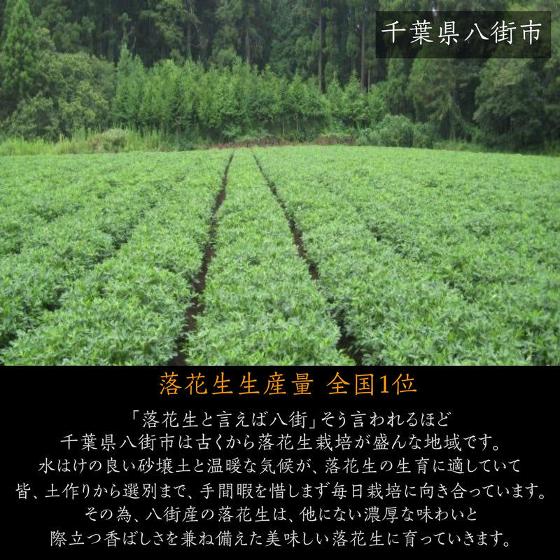 ピーナッツ 落花生 【実川文雄商店】 味比べ 殻付き落花生 千葉半立100g×2 Qなっつ100g×2 八街産 千葉県八街市