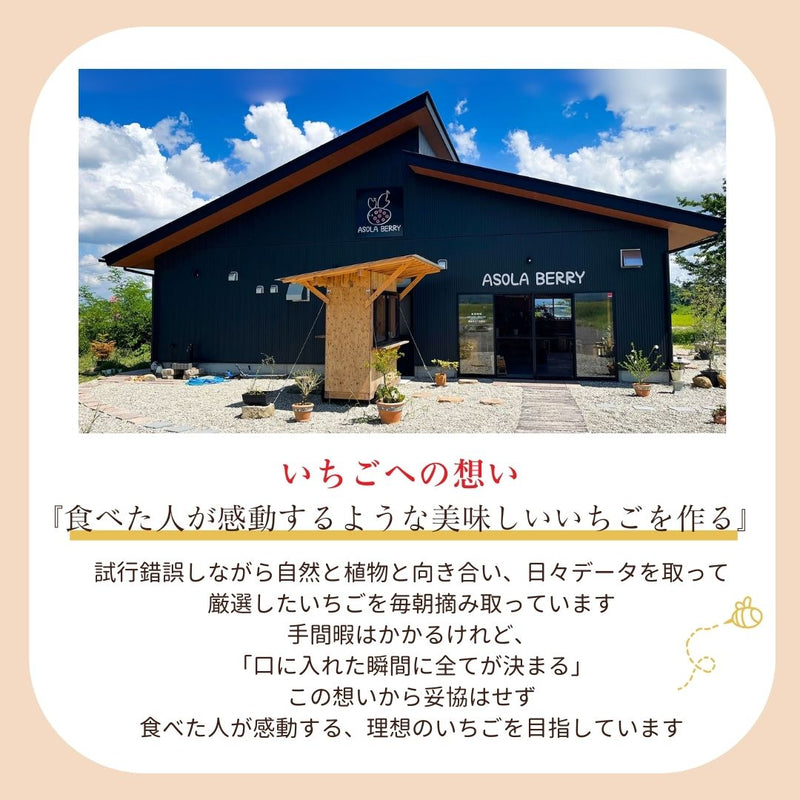 いちご 【アソラベリー】 ２～３種 食べ比べ 紅ほっぺ かおり野 よつぼし 12～15粒 福島県郡山市