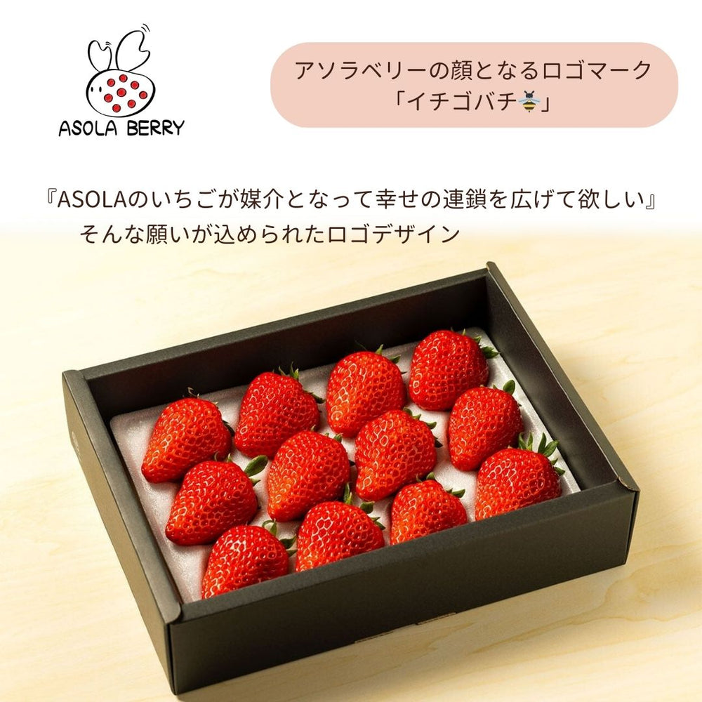 ブリアン いちご いちご 【アソラベリー】 2～3種 食べ比べ 紅ほっぺ かおり野 よつぼ