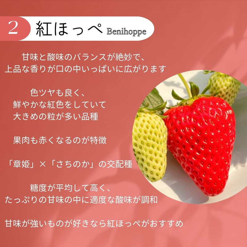 いちご 【アソラベリー】 ２～３種 食べ比べ 紅ほっぺ かおり野 よつぼし (12～15粒)×2P 福島県郡山市