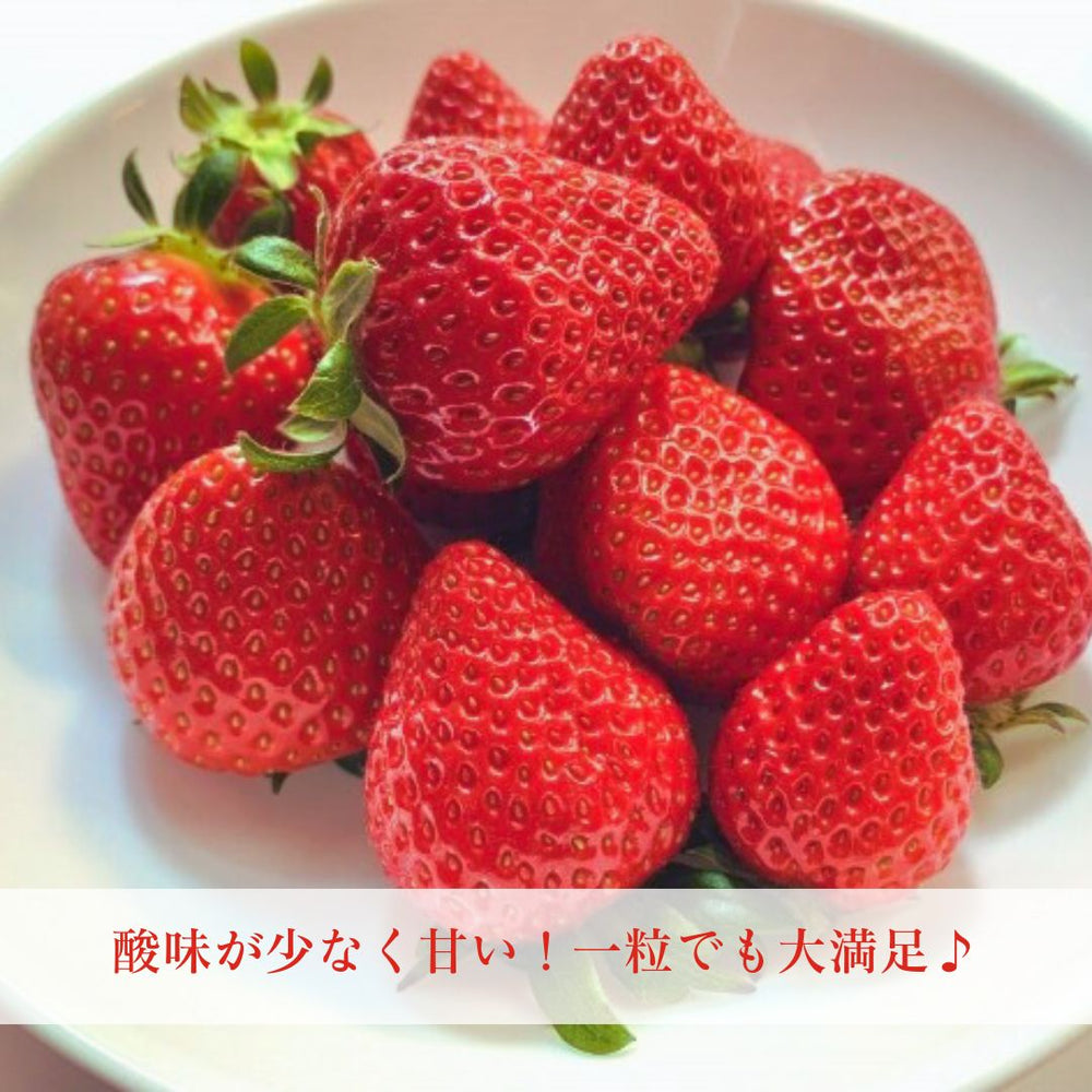 いちご 【モスト絆ファーム】 農薬不使用 ゆうやけベリー 250g×4P 福島
