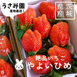 いちご 【うさみ園】 やよいひめ (7～9個)400g×2トレイ 800g  ステビア栽培 低農薬 完熟 茨城県鉾田市《 2/中旬～2/下旬より出荷》