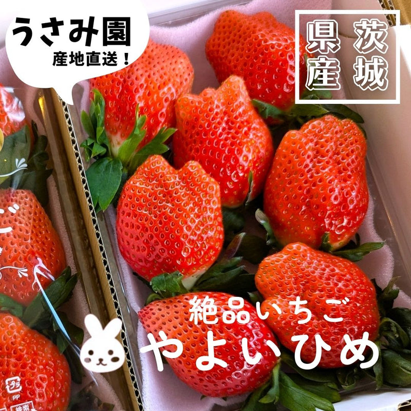 いちご 【うさみ園】 やよいひめ (7～9個)400g×2トレイ 800g