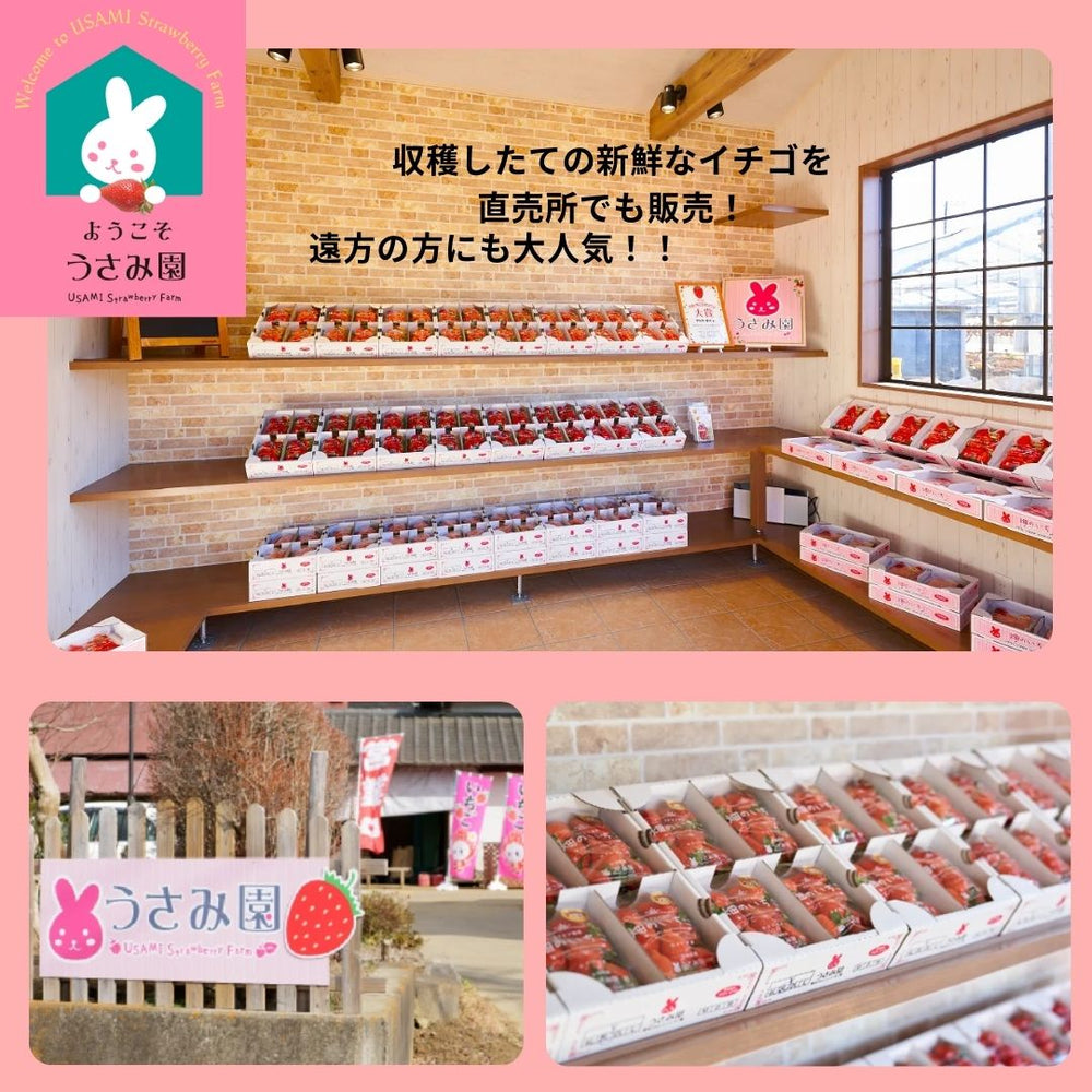 いちご 【うさみ園】 やよいひめ (8～13個)280g×4P 1120g ステビア栽培