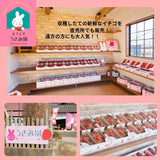 いちご 【うさみ園】 やよいひめ (8～13個)280g×4P 1120g  ステビア栽培 低農薬 完熟 茨城県鉾田市《 2/中旬～2/下旬より出荷》