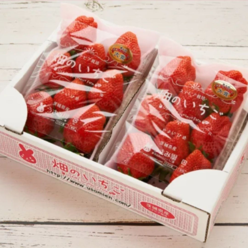 strawberry-usami2-8_1000x.jpg?